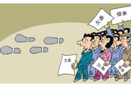 信用社人工电话催收：高效催收策略与客户关系维护